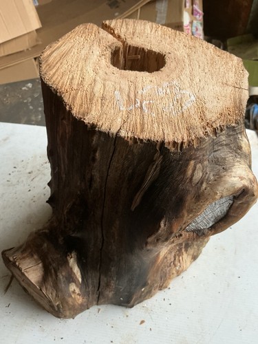 Hollow log decorative - hollow, log,decorative