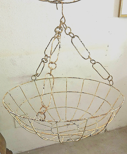 Antique basket plant - antique,