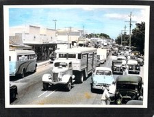 B7643 1997 Australia Rosebud