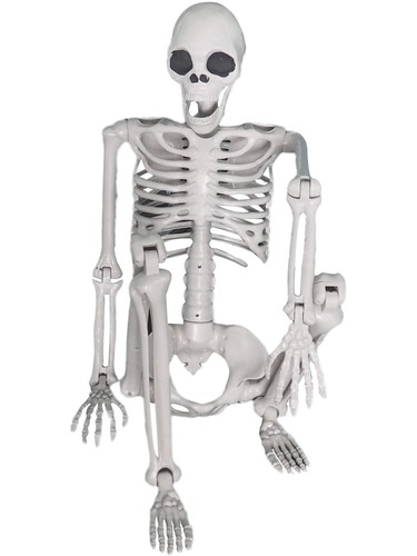 Lifesize hanging skeleton prop - lifesize,