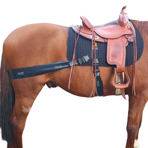 Equine band system western - equine,