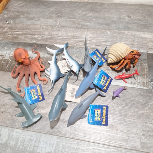 Lot ocean sea life - lot,
