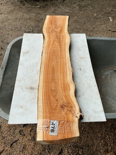 Yew plank - yew, wood,