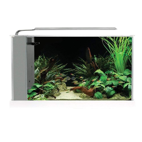 Fluval spec aquarium fish - spec,