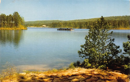 GA~GEORGIA~PINE