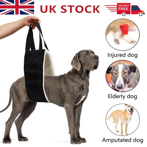 Large dog mobility - mobility, aids