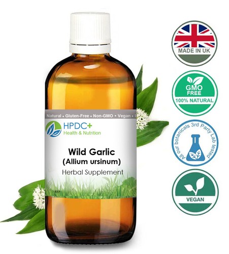 Wild ramsons garlic allium - wild,