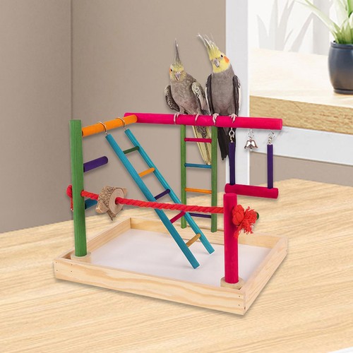 Parrot bird playground - parrot,