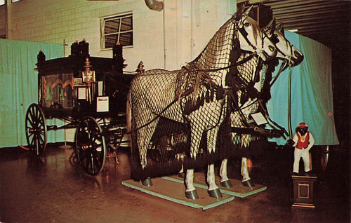 Postcard minden horse - postcard, ne: