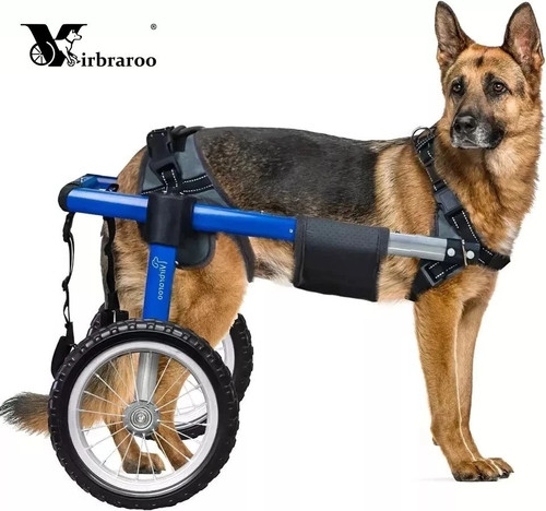Used large dog - large,