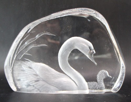Sweden mats jonasson swan - mats,