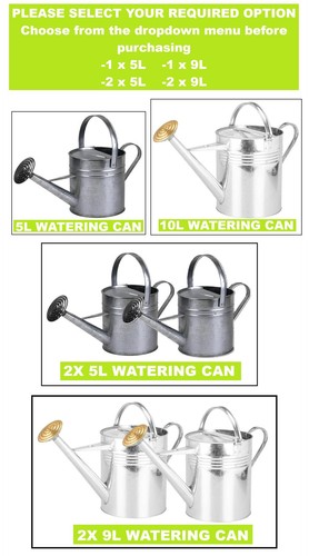 Galvanised watering can - watering,
