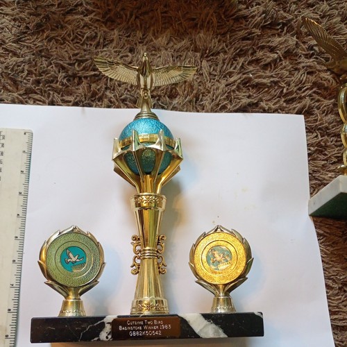 Pigeon racing trophy cutsyke - racing,