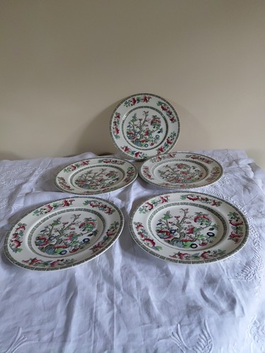 Set johnson bros indian - 5,