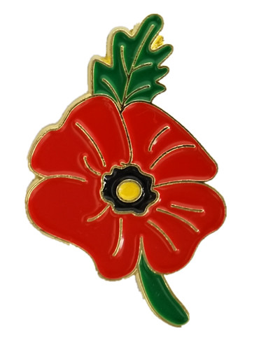 Large red poppies flower - poppies,