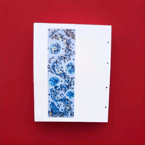 Jamie reid eight year fold - jamie,