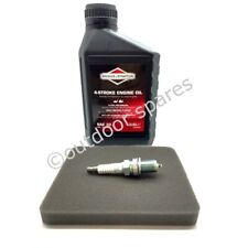 Mountfield RM45 RM55 Lawnmower