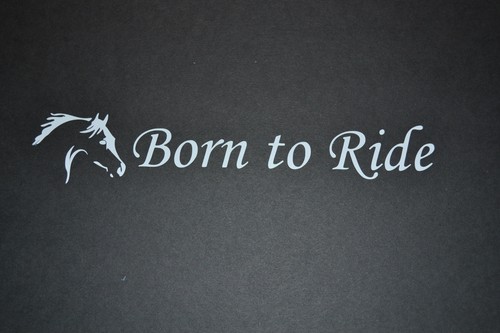 Born ride pony - born, horse