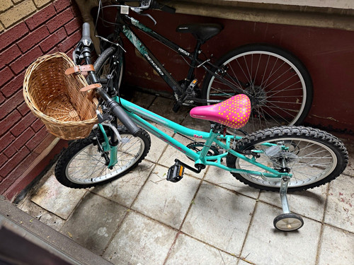 Apollo zest girls bike - 20”,