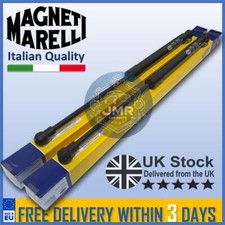 2x Tailgate Boot Gas Struts