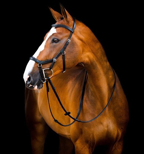 Horseware micklem deluxe - horseware,