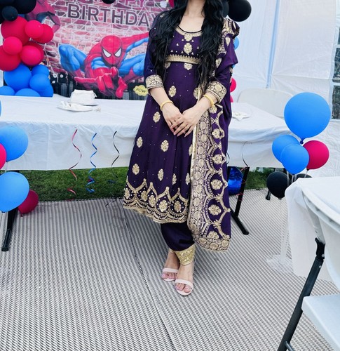 Indian punjabi handwork suit - indian,