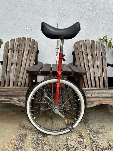 Pashley unisex unicycle - pashley,