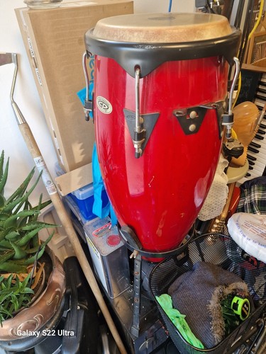 CONGAS