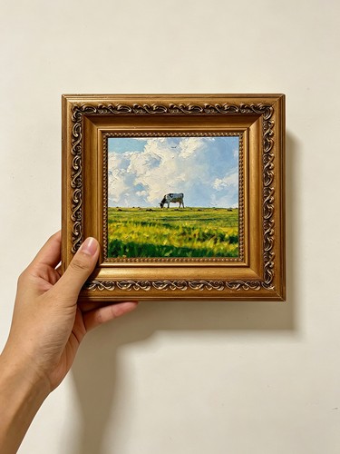 Grazing cow sunny meadow - sunny,