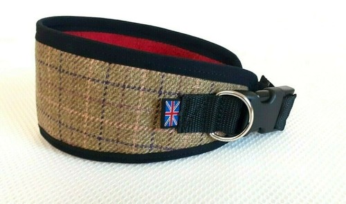 Greyhound lurcher dog - /, collar