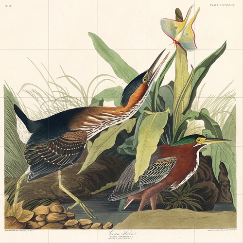 Tile mural mosaic ceramic - tile,