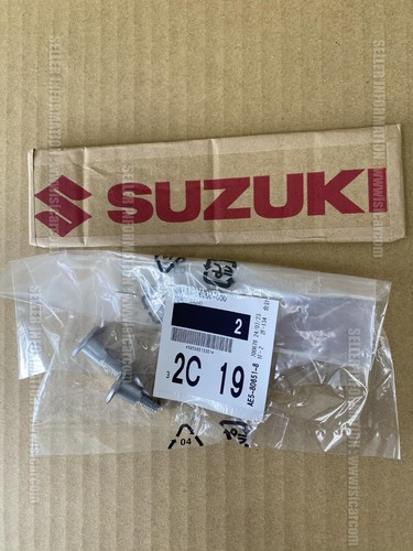 Suzuki gsx r1000 v strom - suzuki, gsx-r1000