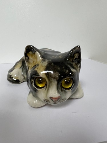Winstanley calico cat lying - calico,
