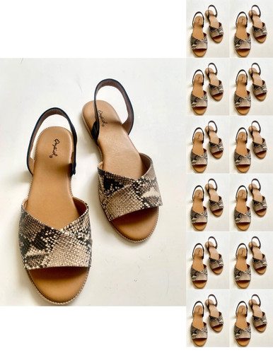 Wholesale bulk flat snake - wholesale,
