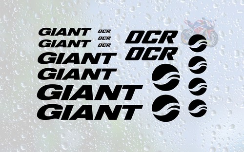 Giant ocr mountain bike - 17, pc