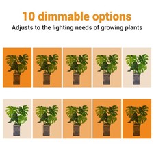 Under Cabinet Plant Grow Light