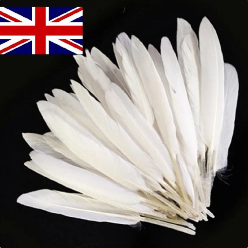 White goose feathers arts - goose,