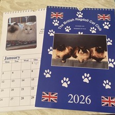 2026 A4 Ragdoll Cat Calendar