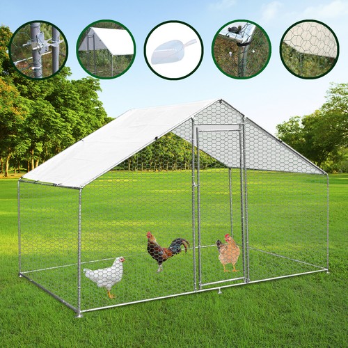 Chicken run walk - walk, coop