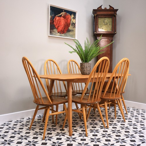 Six ercol quaker 365 chairs - quaker,