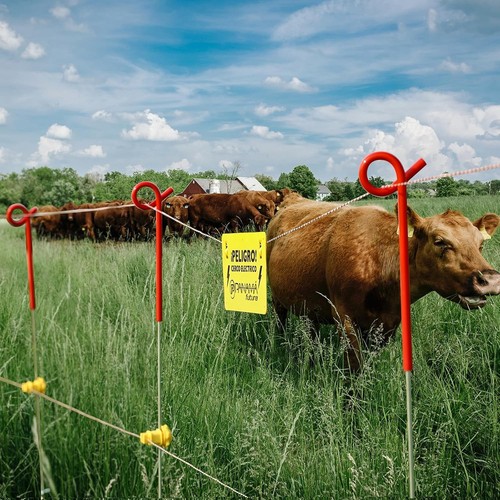 Fence shock pack inches - shock,