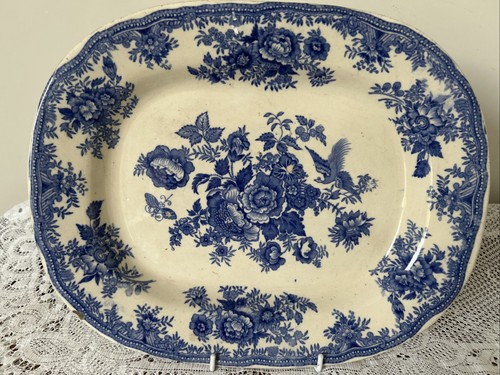 Antique asiatic pheasants - antique, blue