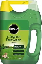 EVERGREEN 80M² EXTREME FAST