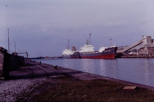 1979 albright explorer - albright,