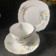 Royal Vale Tea Cup Saucer &