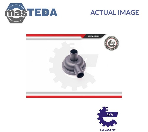 31skv010 valve engine block - engine,
