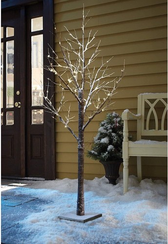 Christmas cherry blossom tree - cherry,
