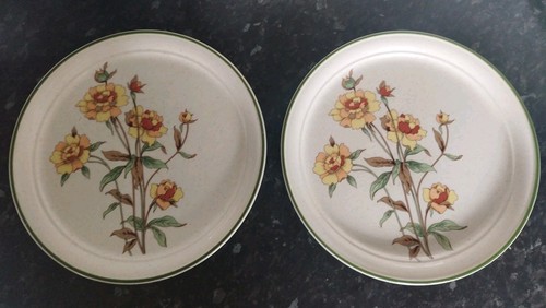 Pair arklow honey - arklow, south