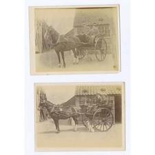 Edwardian Ladies & Gentlemen in Pony & Trap - 2x Antique Photographs c1905