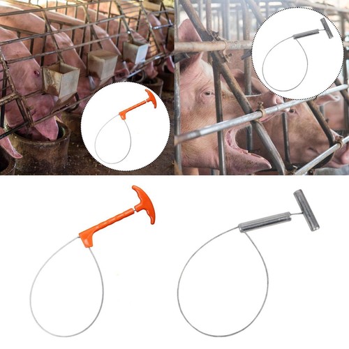 Pig catcher pole control - catcher,